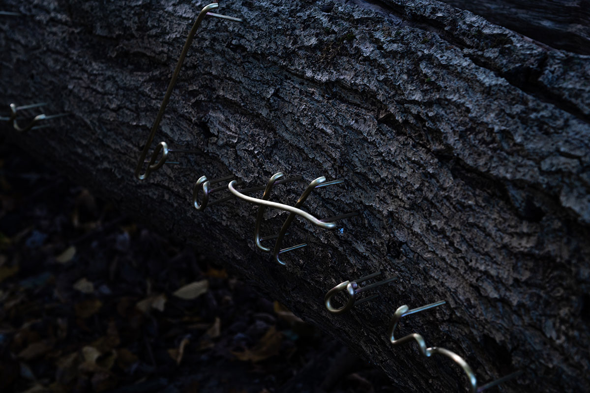 The bottom of the deepest ocean is connected within everyone’s minds